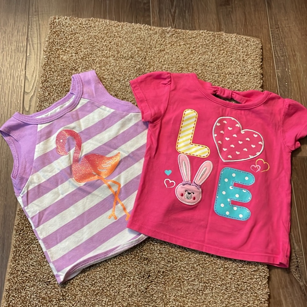 Bundle 2 girls Garanimals tops 18M